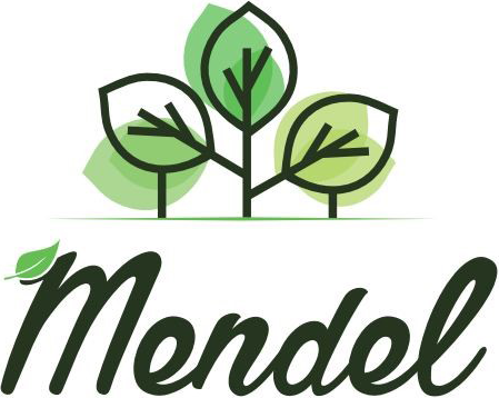 Mendel Consultoria